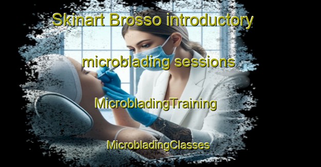 Skinart Brosso introductory microblading sessions | MicrobladingTraining | MicrobladingClasses | SkinartTraining-Italy