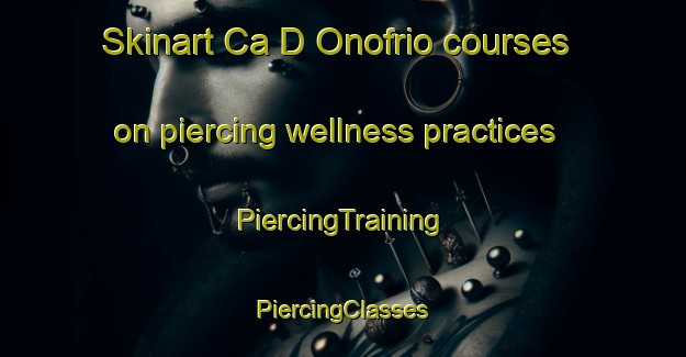 Skinart Ca D Onofrio courses on piercing wellness practices | #PiercingTraining #PiercingClasses #SkinartTraining-Italy