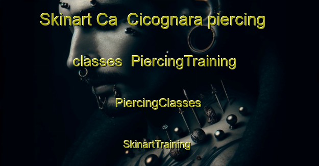 Skinart Ca  Cicognara piercing classes | #PiercingTraining #PiercingClasses #SkinartTraining-Italy