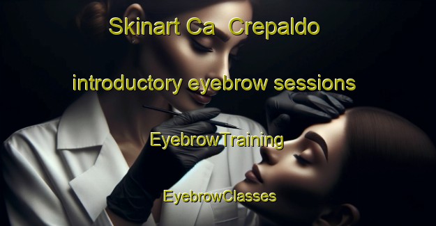 Skinart Ca  Crepaldo introductory eyebrow sessions | EyebrowTraining | EyebrowClasses | SkinartTraining-Italy