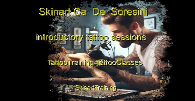 Skinart Ca  De  Soresini introductory tattoo sessions | #TattooTraining #TattooClasses #SkinartTraining-Italy