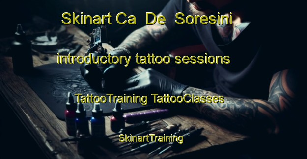 Skinart Ca  De  Soresini introductory tattoo sessions | #TattooTraining #TattooClasses #SkinartTraining-Italy