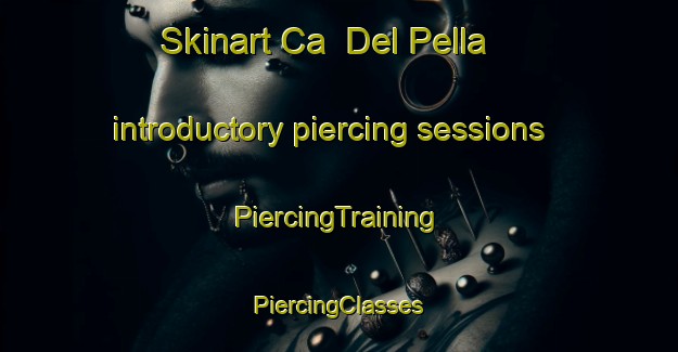 Skinart Ca  Del Pella introductory piercing sessions | #PiercingTraining #PiercingClasses #SkinartTraining-Italy