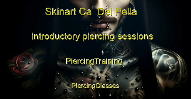 Skinart Ca  Del Pella introductory piercing sessions | #PiercingTraining #PiercingClasses #SkinartTraining-Italy