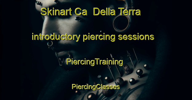 Skinart Ca  Della Terra introductory piercing sessions | #PiercingTraining #PiercingClasses #SkinartTraining-Italy