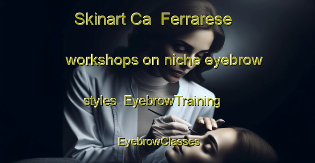 Skinart Ca  Ferrarese workshops on niche eyebrow styles | EyebrowTraining | EyebrowClasses | SkinartTraining-Italy