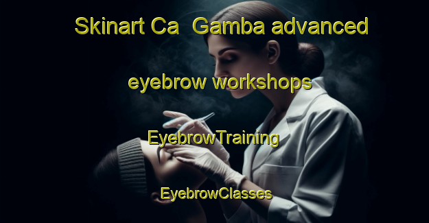 Skinart Ca  Gamba advanced eyebrow workshops | EyebrowTraining | EyebrowClasses | SkinartTraining-Italy