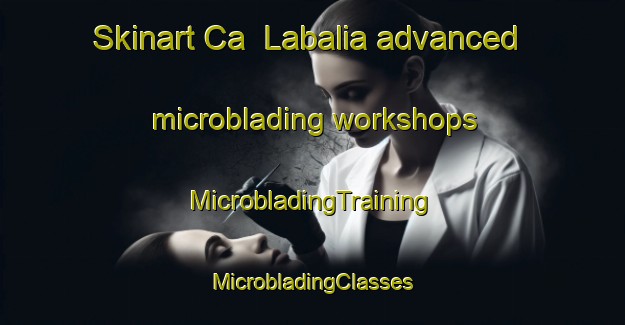 Skinart Ca  Labalia advanced microblading workshops | #MicrobladingTraining #MicrobladingClasses #SkinartTraining-Italy