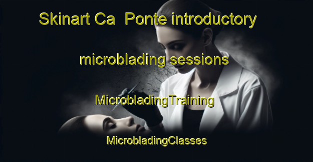 Skinart Ca  Ponte introductory microblading sessions | #MicrobladingTraining #MicrobladingClasses #SkinartTraining-Italy