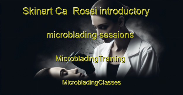 Skinart Ca  Rossi introductory microblading sessions | #MicrobladingTraining #MicrobladingClasses #SkinartTraining-Italy