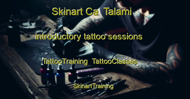 Skinart Ca  Talami introductory tattoo sessions | TattooTraining | TattooClasses | SkinartTraining-Italy