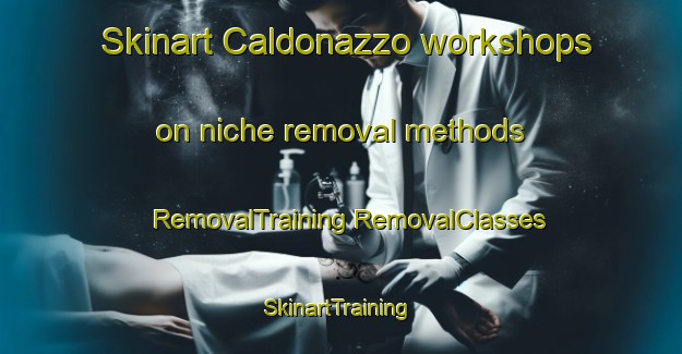 Skinart Caldonazzo workshops on niche removal methods | #RemovalTraining #RemovalClasses #SkinartTraining-Italy