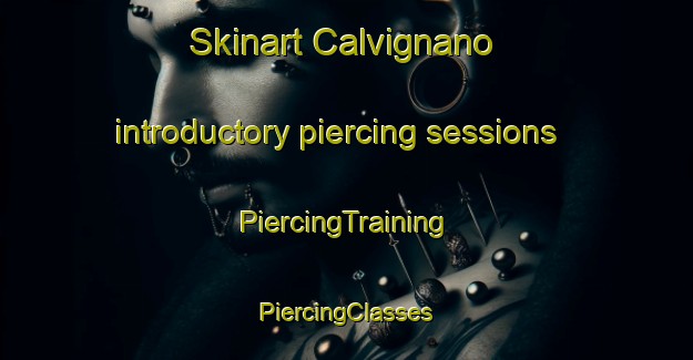 Skinart Calvignano introductory piercing sessions | #PiercingTraining #PiercingClasses #SkinartTraining-Italy