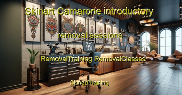 Skinart Camarone introductory removal sessions | #RemovalTraining #RemovalClasses #SkinartTraining-Italy