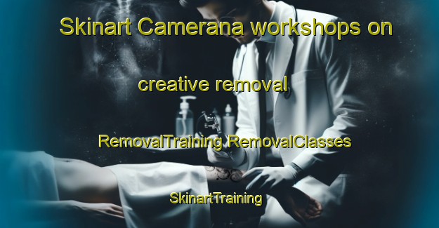 Skinart Camerana workshops on creative removal | #RemovalTraining #RemovalClasses #SkinartTraining-Italy