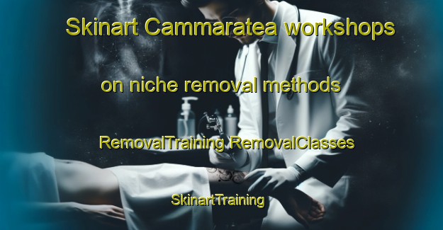 Skinart Cammaratea workshops on niche removal methods | #RemovalTraining #RemovalClasses #SkinartTraining-Italy