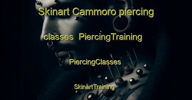 Skinart Cammoro piercing classes | #PiercingTraining #PiercingClasses #SkinartTraining-Italy