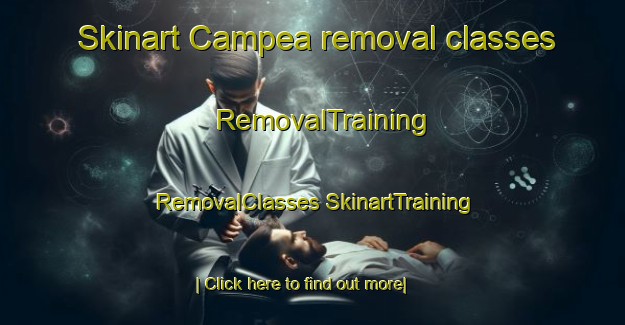 Skinart Campea removal classes | #RemovalTraining #RemovalClasses #SkinartTraining-Italy