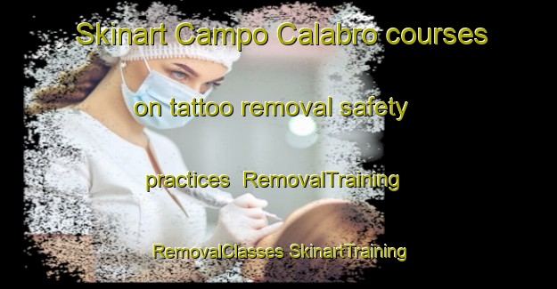 Skinart Campo Calabro courses on tattoo removal safety practices | #RemovalTraining #RemovalClasses #SkinartTraining-Italy