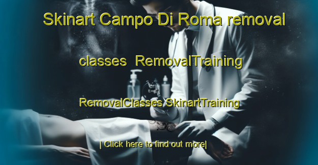 Skinart Campo Di Roma removal classes | #RemovalTraining #RemovalClasses #SkinartTraining-Italy