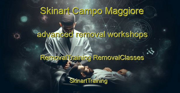 Skinart Campo Maggiore advanced removal workshops | #RemovalTraining #RemovalClasses #SkinartTraining-Italy