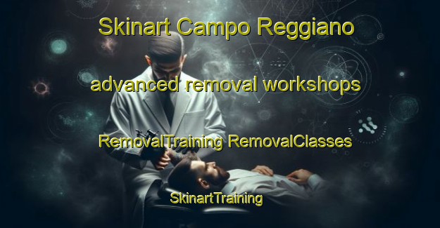 Skinart Campo Reggiano advanced removal workshops | #RemovalTraining #RemovalClasses #SkinartTraining-Italy