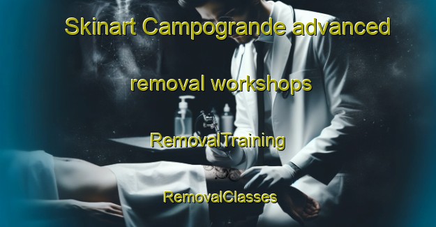 Skinart Campogrande advanced removal workshops | RemovalTraining | RemovalClasses | SkinartTraining-Italy
