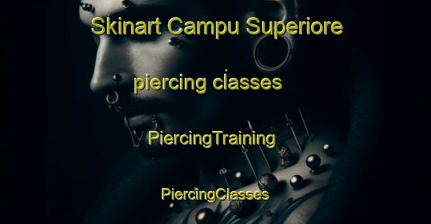 Skinart Campu Superiore piercing classes | #PiercingTraining #PiercingClasses #SkinartTraining-Italy