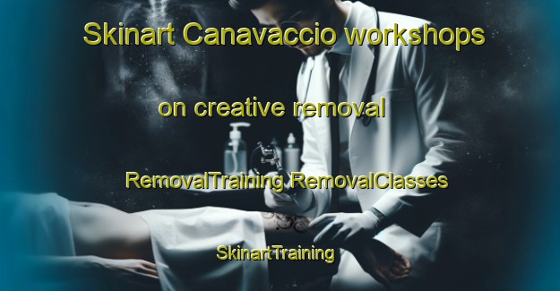 Skinart Canavaccio workshops on creative removal | #RemovalTraining #RemovalClasses #SkinartTraining-Italy