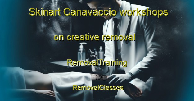 Skinart Canavaccio workshops on creative removal | RemovalTraining | RemovalClasses | SkinartTraining-Italy