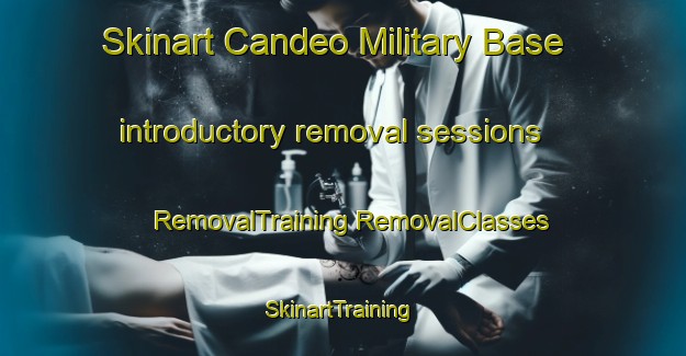 Skinart Candeo Military Base introductory removal sessions | #RemovalTraining #RemovalClasses #SkinartTraining-Italy