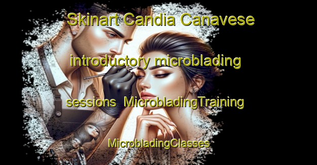 Skinart Candia Canavese introductory microblading sessions | #MicrobladingTraining #MicrobladingClasses #SkinartTraining-Italy