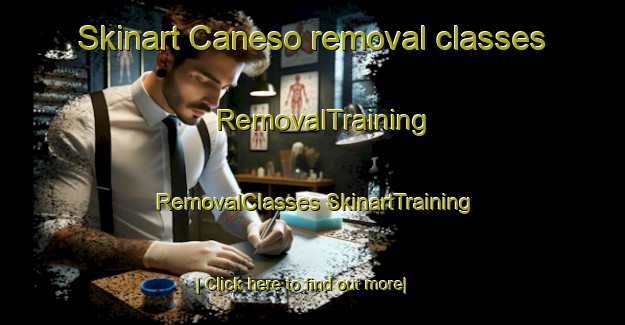 Skinart Caneso removal classes | #RemovalTraining #RemovalClasses #SkinartTraining-Italy