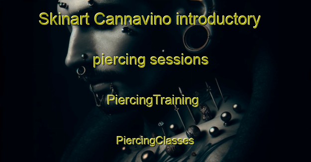 Skinart Cannavino introductory piercing sessions | #PiercingTraining #PiercingClasses #SkinartTraining-Italy