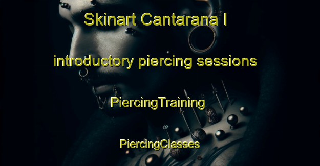 Skinart Cantarana I introductory piercing sessions | #PiercingTraining #PiercingClasses #SkinartTraining-Italy