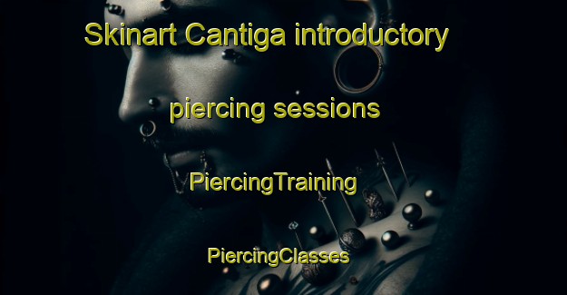 Skinart Cantiga introductory piercing sessions | PiercingTraining | PiercingClasses | SkinartTraining-Italy