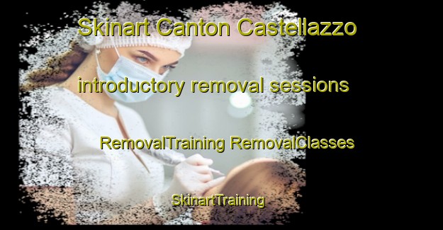 Skinart Canton Castellazzo introductory removal sessions | #RemovalTraining #RemovalClasses #SkinartTraining-Italy