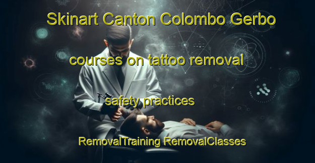 Skinart Canton Colombo Gerbo courses on tattoo removal safety practices | #RemovalTraining #RemovalClasses #SkinartTraining-Italy