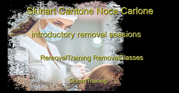 Skinart Cantone Noce Carlone introductory removal sessions | #RemovalTraining #RemovalClasses #SkinartTraining-Italy