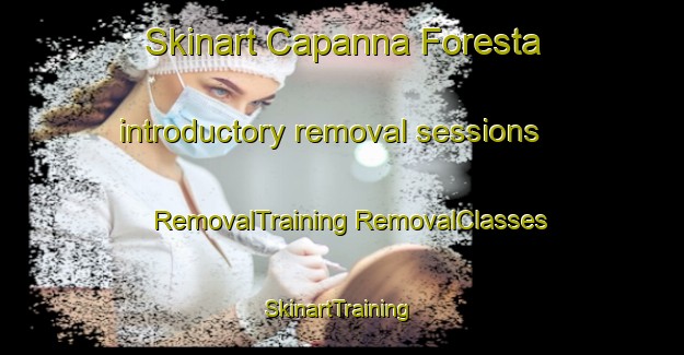 Skinart Capanna Foresta introductory removal sessions | #RemovalTraining #RemovalClasses #SkinartTraining-Italy