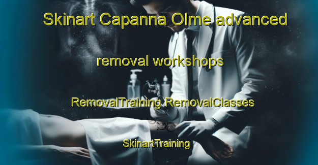 Skinart Capanna Olme advanced removal workshops | #RemovalTraining #RemovalClasses #SkinartTraining-Italy