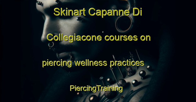 Skinart Capanne Di Collegiacone courses on piercing wellness practices | #PiercingTraining #PiercingClasses #SkinartTraining-Italy