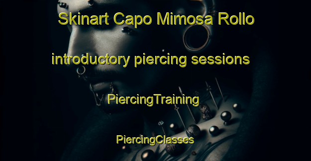 Skinart Capo Mimosa Rollo introductory piercing sessions | #PiercingTraining #PiercingClasses #SkinartTraining-Italy