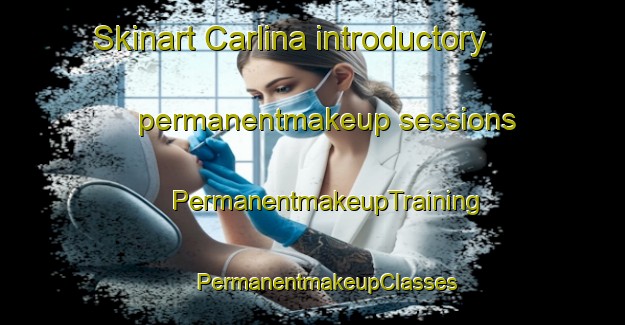 Skinart Carlina introductory permanentmakeup sessions | #PermanentmakeupTraining #PermanentmakeupClasses #SkinartTraining-Italy