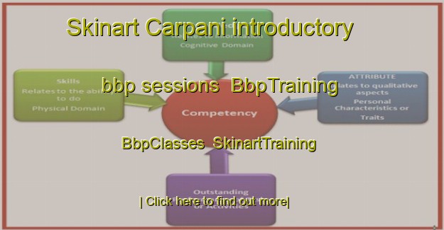 Skinart Carpani introductory bbp sessions | BbpTraining | BbpClasses | SkinartTraining-Italy