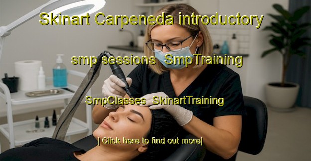 Skinart Carpeneda introductory smp sessions | SmpTraining | SmpClasses | SkinartTraining-Italy