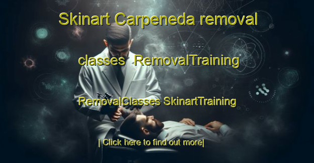 Skinart Carpeneda removal classes | #RemovalTraining #RemovalClasses #SkinartTraining-Italy