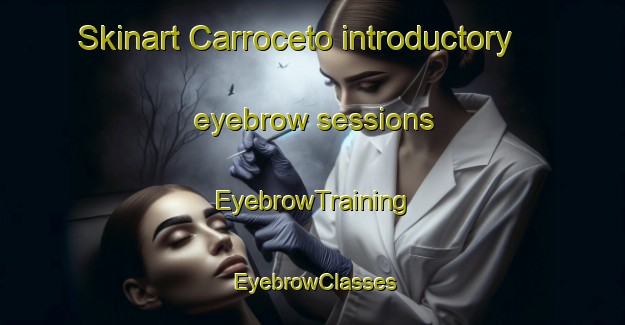 Skinart Carroceto introductory eyebrow sessions | EyebrowTraining | EyebrowClasses | SkinartTraining-Italy