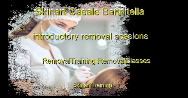 Skinart Casale Banditella introductory removal sessions | #RemovalTraining #RemovalClasses #SkinartTraining-Italy