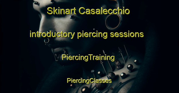 Skinart Casalecchio introductory piercing sessions | #PiercingTraining #PiercingClasses #SkinartTraining-Italy